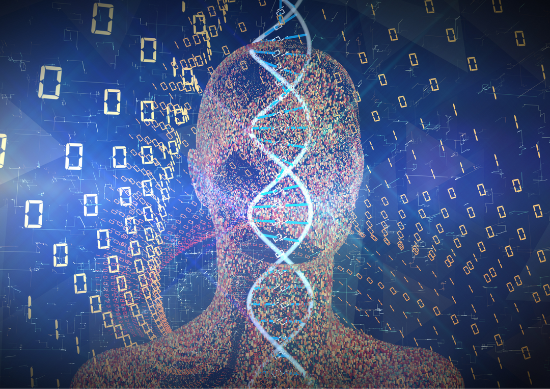 Supercharge Your Brain with Happiness Neurochemicals