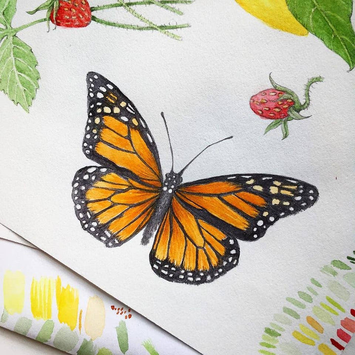 Butterfly Habitat Flower Garden