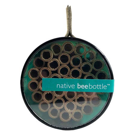 Native Bee House