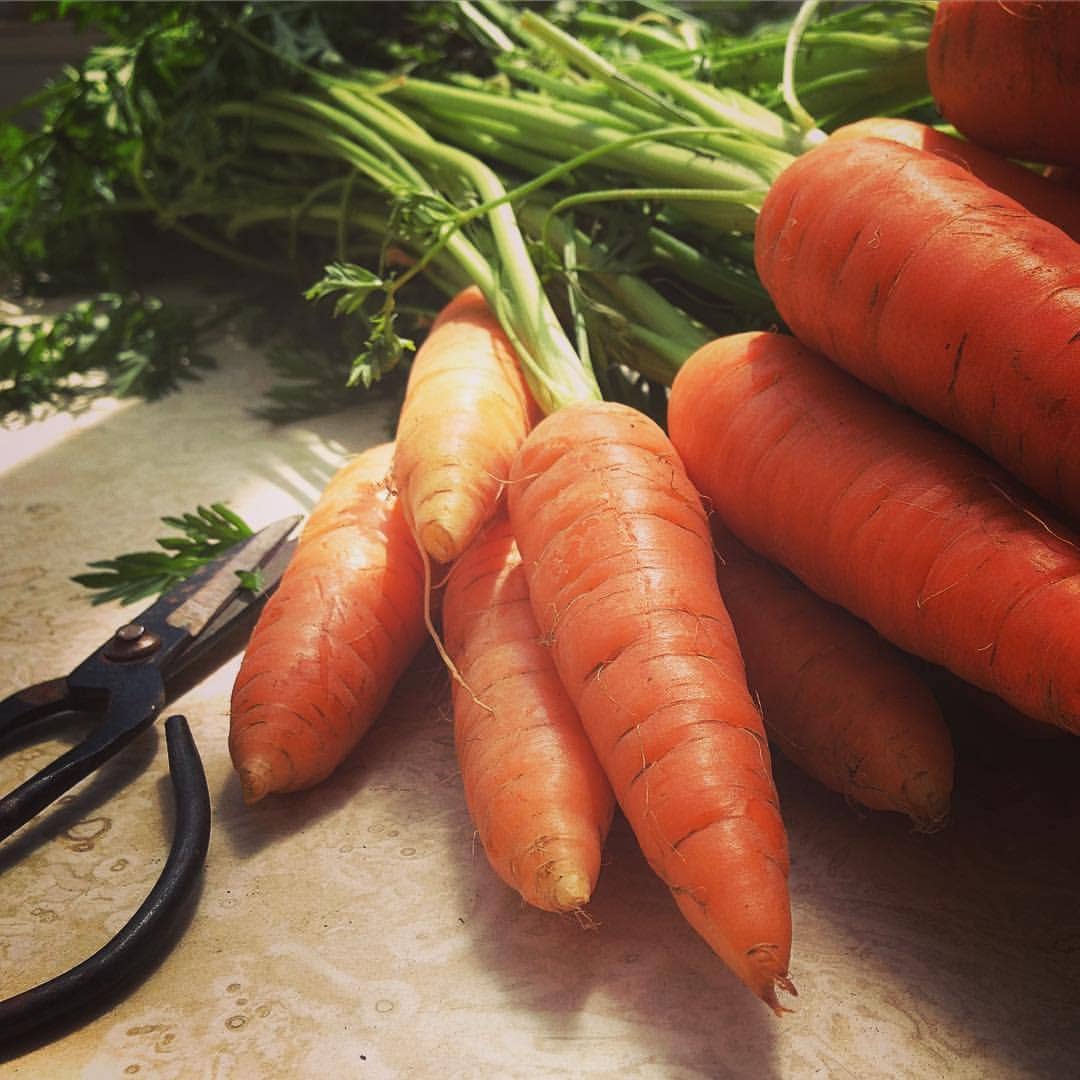 Garden Maker Farmer’s Market