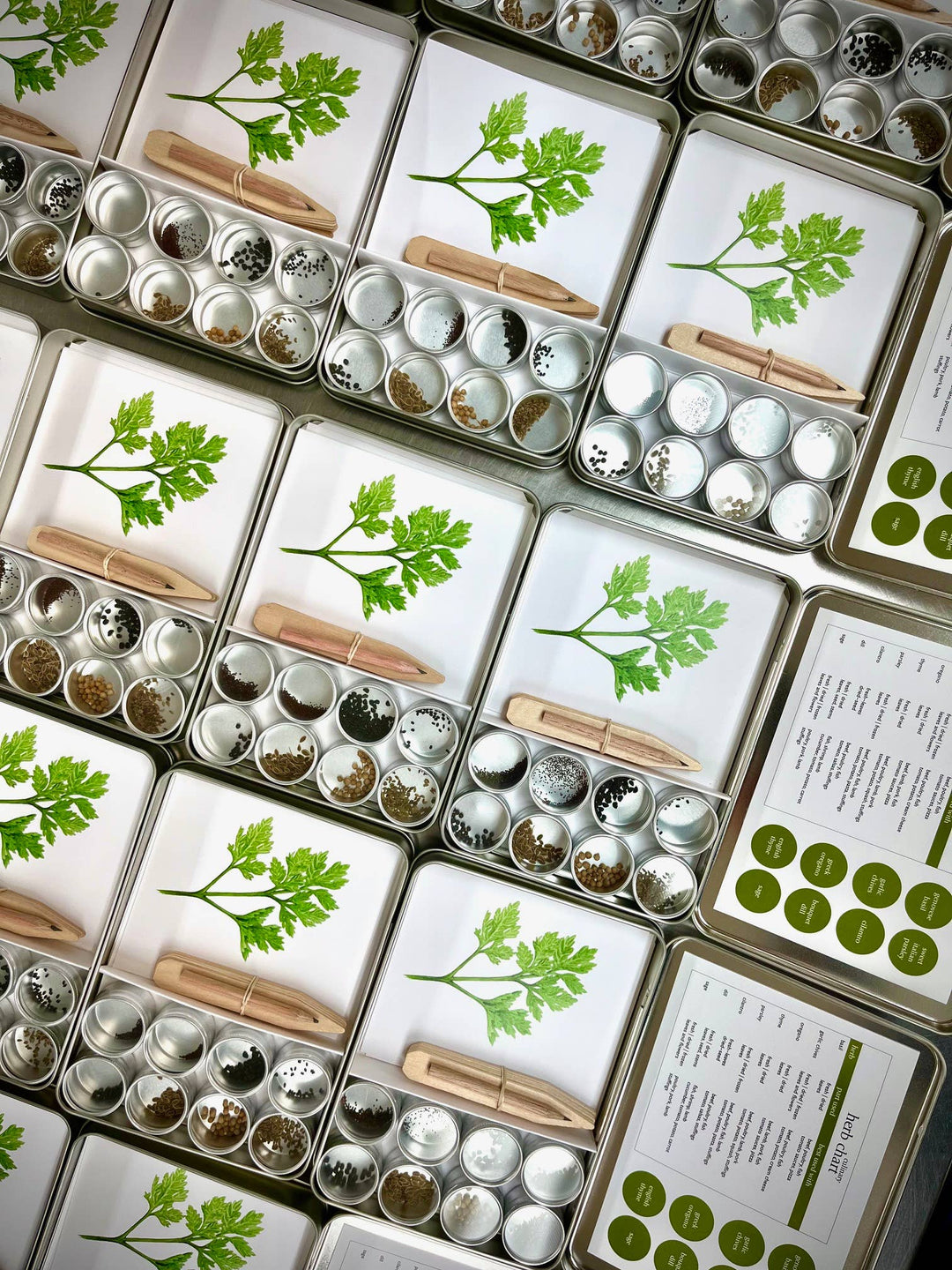 Garden Maker Culinary Herbs