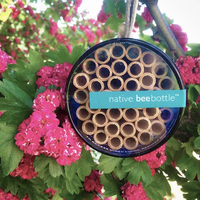 Native Bee House